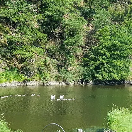 Aux Bains De La Semois *